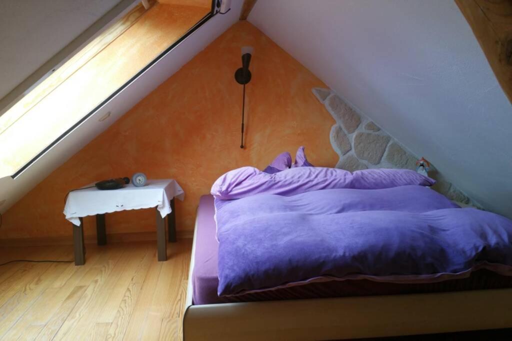 Biesingen Ferienwohnung Roswitha In Blieskastel מראה חיצוני תמונה